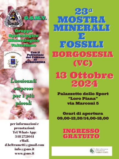 Locandina mostra minerali e fossili 2024