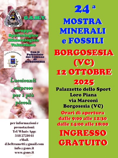 Locandina mostra minerali e fossili 2025