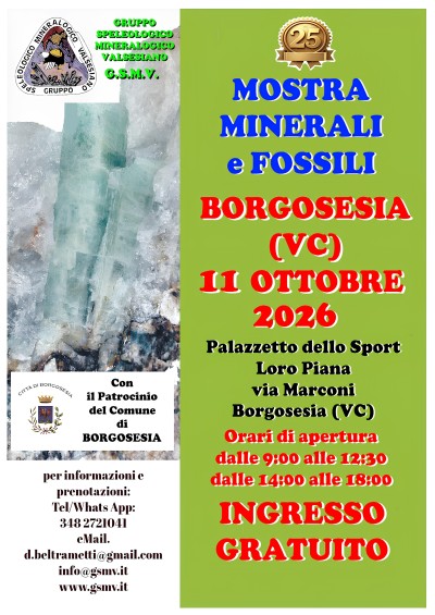 Locandina mostra minerali e fossili 2026